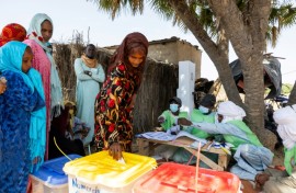 Chad's government has presented the elections as the final stage in the transition to democracy