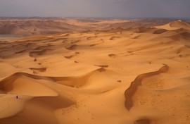 A solitary spectator watches the cars on stage 7 of the Dakar Rally