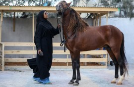 In a city scarred by decades of conflict, for some the sight of Muse on her horse represented newfound peace 