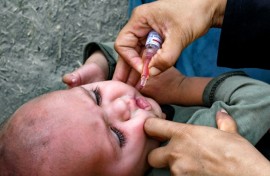 Polio can easily be prevented by the oral administration of a few drops of vaccine, but scores of vaccination workers and their escorts have been killed over the years