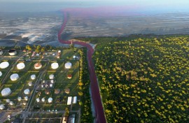 A stream on the outskirts of Buenos Aires turned blood red on Thursday, causing anxiety among residents who blamed it on pollution. 