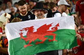 Welsh fans are still supporting the national team but there is less interest in the four regional teams 