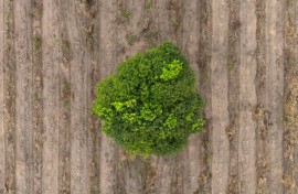 The decision maps out a way forward on funding, two years after a landmark deal to halt the rampant destruction of nature this decade