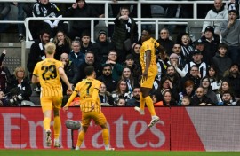 Brighton's Danny Welbeck (R) celebrates after scoring against Newcastle