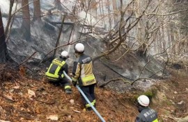 Japan firefighters battle forest blaze in Iwate