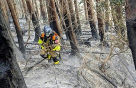 The fire has burnt an area around half the size of Manhattan