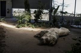 The school aims to curb poaching by teaching investigation skills to rangers, conservation officers and law enforcement