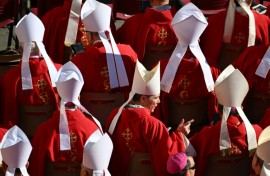 Cardinals from around the world attended the funeral of Pope Francis