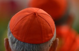 Catholic cardinals have said sexual abuse of children is a key challenge for the next pope