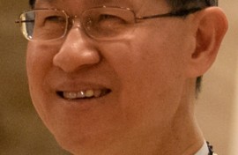 Cardinal Luis Antonio Tagle served as the archbishop of Manila and is politically influential in the Philippines