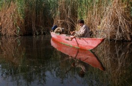A fisherman on Iraq's receding marshes that straddle the border with Iran