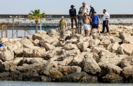 People have become increasingly curious about the sharks off the coast of Hadera, central Israel