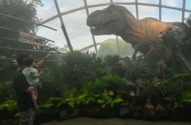 Visitors view animatronic and sculpted dinosaurs during a preview of 'Jurassic World: The Experience' at Cloud Forest, Gardens by the Bay in Singapore, May 26, 2025. The fascination with T-Rex continues as scientists identify a new, smaller ancestor of the iconic predator from 50-year-old fossils found in Mongolia.