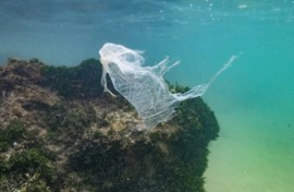 Countries have been negotiating a global treaty to address a torrent of plastic entering the environment, including the oceans.