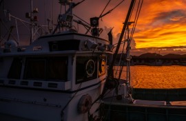 Experts warned against using innovation to increase fishing hauls