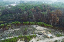 Brazil experienced historic fires last year, particularly in the Amazon, the largest tropical rainforest on the planet