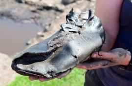 A handout photo released by The Vindolanda Trust shows a complete leather shoe, one of 32 shoes uncovered so far during excavations in Northern England