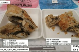 Leftover pieces of Erin Patterson's lethal beef Wellington during testing at a toxicology lab.
