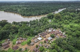 Tiwai Island Wildlife Sanctuary in Sierra Leone that has become a UNESCO World Heritage Site