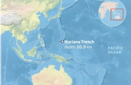A Chinese submersible has found creatures thriving at nearly 10 kilometres below sea level in the Mariana Trench