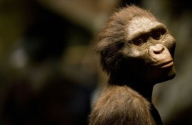 One sculptor made a rendering based on the remains of the hominid Australopithecus afarensis -- Lucy -- who was found in Ethiopia and rarely leaves the African state