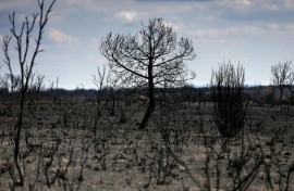 The August heatwave exacerbated tinderbox conditions that have fuelled deadly wildfires