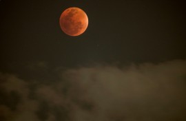 Stargazers in Johannesburg were among those getting a clear view of the Blood Moon