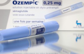 The popularity of Novo Nordisk's weight-loss injections had once made it a darling of investors, boosting its share price and at one point making it Europe's most valuable company