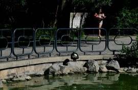Seville, located in Andalusia, is home to the Maria Luisa park that attracts tourists