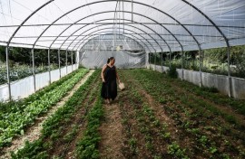 Anna Aivazidi says the EU farm subsidy scandal has affected real farmers in Greece
