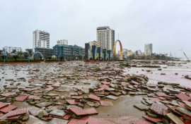 Typhoon Bualoi ripped roofs from buildings and uprooted electrical poles along Vietnam's coast, killing at least 11 people