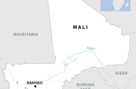 The rebels are mostly ethnic Tuaregs, a semi-nomadic people whose members have long sought a separate homeland