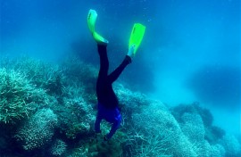 Coral reefs are highly sensitive to changing conditions in the oceans and global warming poses the greatest threat to these vibrant ecosystems.