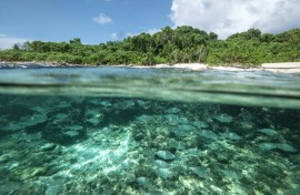 Seychelles has the highest wealth per capita in Africa -- around $18,000 according to the World Bank -- but is vulnerable to climate change