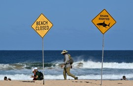 Australia deploys aerial drones, tracking tags and nets to protect beachgoers from sharks