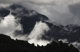 Rainforests in Australia's northern tropics are no longer acting as net carbon sinks, according to new research.