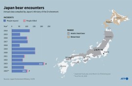 Japan bear encounters
