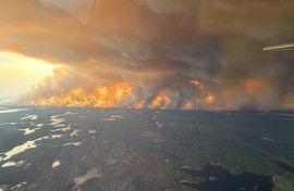 Wildfires fuelled by climate change have driven a rise in global greenhouse emissions