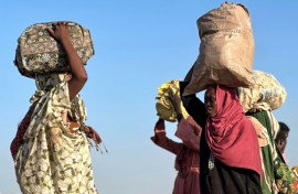 Displaced Sudanese who fled El-Fasher after the city fell to the Rapid Support Forces arrive in the town of Tawila earlier this week