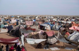 Survivors for the battle for El-Fasher have sought shelter in nearby Tawila