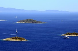 If we don't protect the seas 'we're not looking at a bright future', Maricic says
