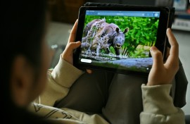 Vantara holds tens of thousands of animals, including some of the world's most endangered species