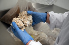 Belgian start-up Permafungi is pitching mushroom-based packaging as a fully biodegradable alternative to polystyrene and other plastic