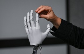 Tech firms are pouring massive sums into physical AI, and Morgan Stanley predicts the world could have more than a billion humanoid robots by 2050