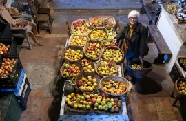 Older varieties are more resilient to the challenges posed by a changing climate in a hotspot region for global warming