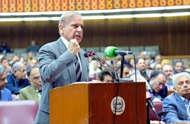 Pakistan's parliament approved a sweeping constitutional amendment granting lifetime immunity to the president as well as the current army chief
