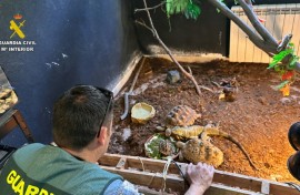 Police said most of the animals lacked documentation and came from 'irregular transfers'