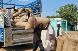 The number of people facing acute hunger has more than doubled over the past five years, according to the World Food Programme