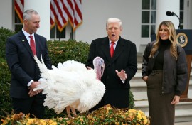 First Lady Melania Trump looks on as US President Donald Trump pardons Gobble, one of the National Thanksgiving turkeys, during a ceremony in the Rose Garden