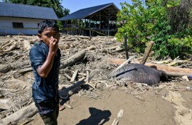 An endangered Sumatran elephant was buried in mud and debris left by floods in Meureudu near the north coast of Indonesia's Aceh province